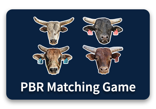 PBR Btn matching game
