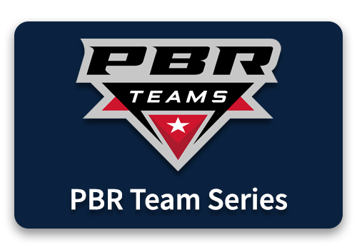PBR Btn pbr team series rev