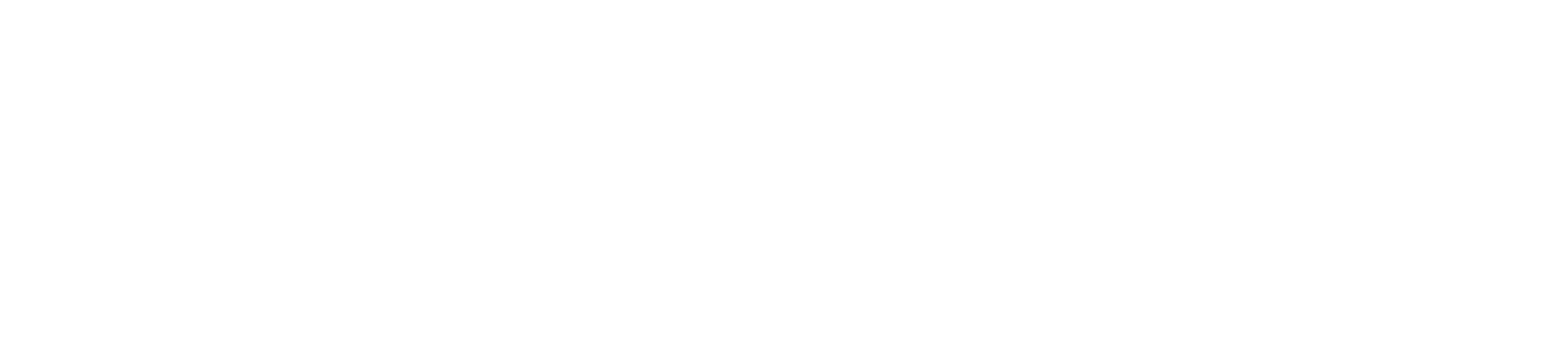 Vonage-Logo_White