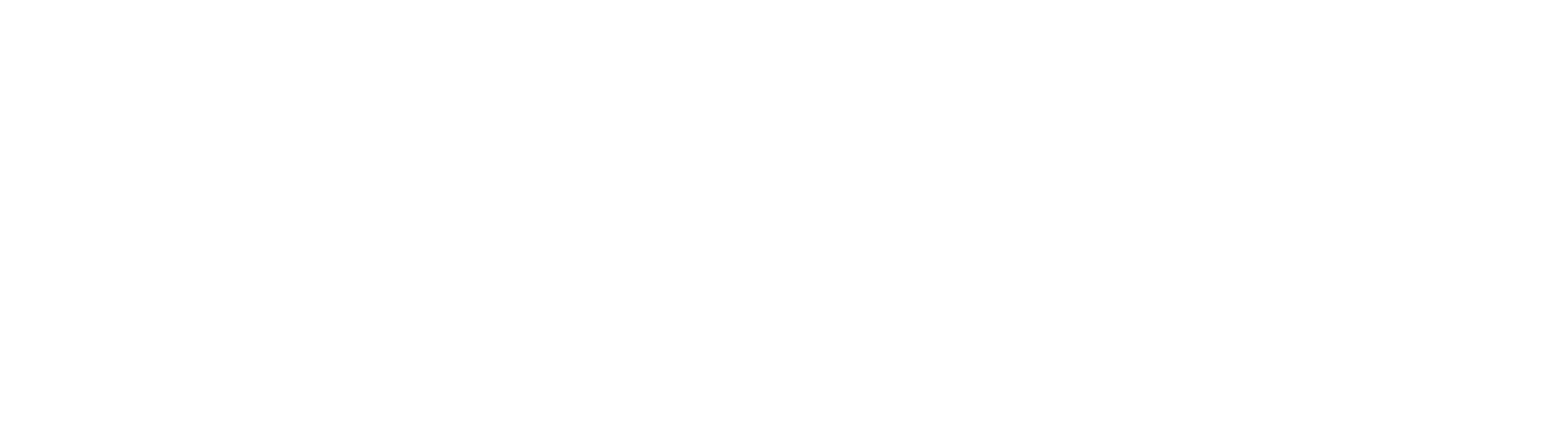 bravura-horizontal-logo