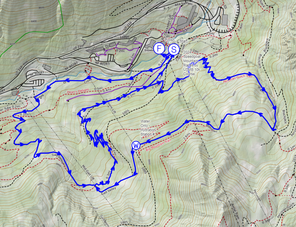 speedgoat 10k