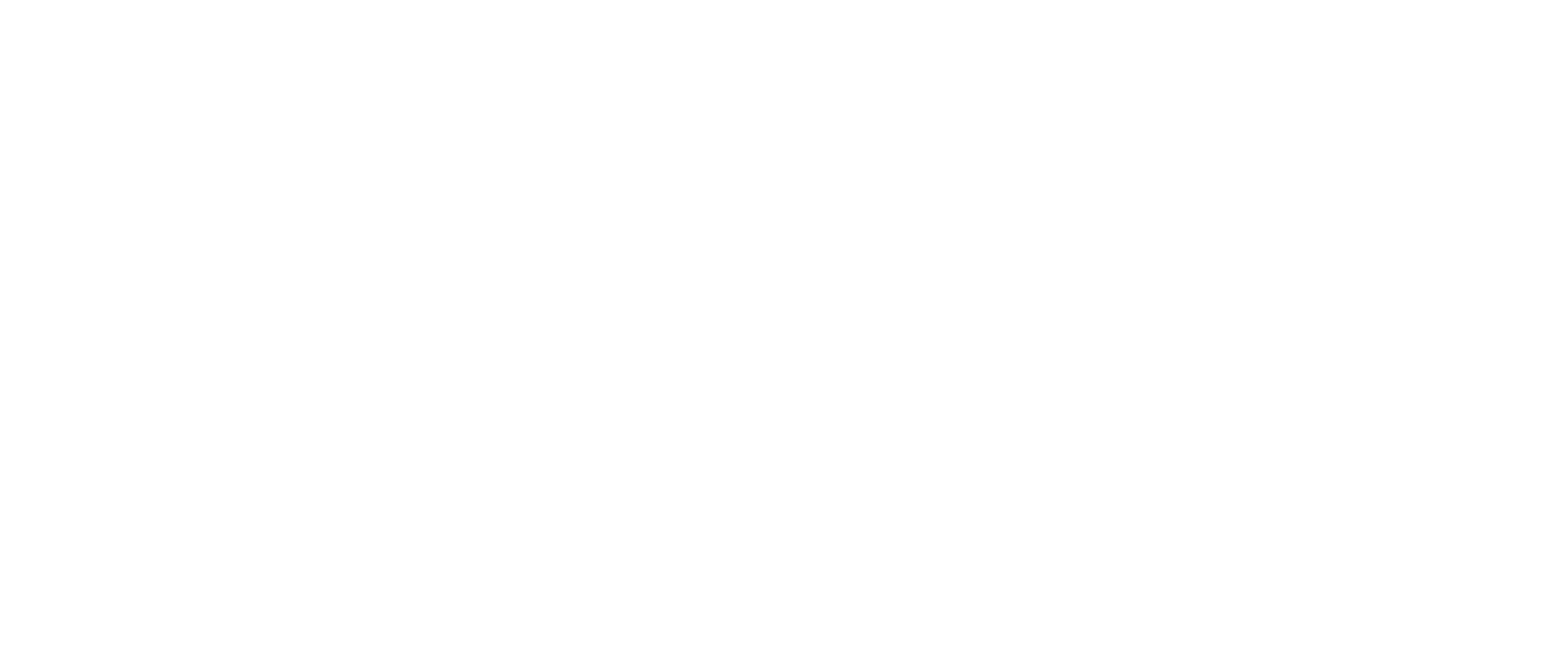 Stoneridge_Software_Wht_hi-res (1)