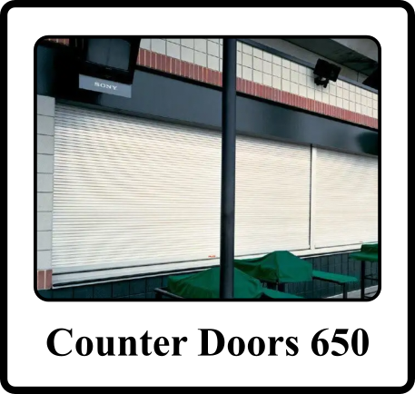 door-650