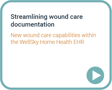 HB-HH-DEMO-Wound-Care