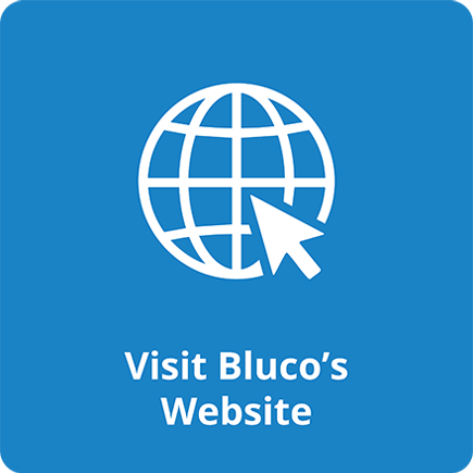 bluco homepage mockup btn4